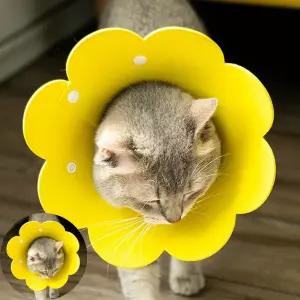 중성화넥카라 꽃모양 강아지 고양이 부드러운 넥카라