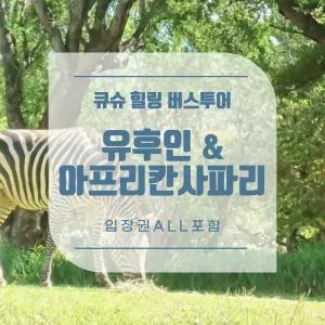 후쿠오카 출도착 큐슈 유후인 온천마을, 벳푸 가마도지옥 + 아프리칸 사파리 (입장권포함)
