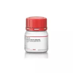 알부민 파우더 - 5g (단백질 분말) Bovine Serum Albumin / BSA Powder