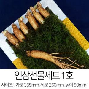 한국인삼유통공사 금산 수삼 선물세트 1호 750g 세척 고려 인삼