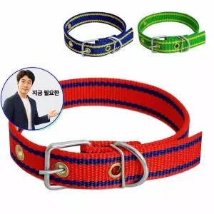 지금 필요한 개목걸이 산책줄 산책목줄 목줄 애완견 중형견 라인 개줄