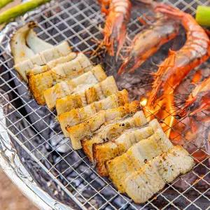 국내산 자포니카 민물장어1kg 1-3미 손질or초벌 (소스+초생강)