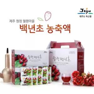 백년초 농축액/백련초/열매/줄기 엑기스 즙 선인장 차