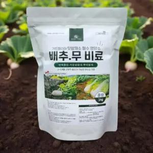 배추 추비 주는 시기 기비 배추밭 무밭 열무 채소 웃거름 결구 영양제 알갱이
