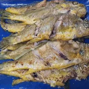 생물 참조기 1kg 조기 참조기 굴비 구이 조림 냉동