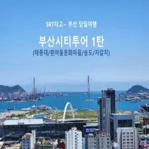 [SRT]부산시티투어 1탄(태종대/흰여울문화마을/송도/자갈치)_연합