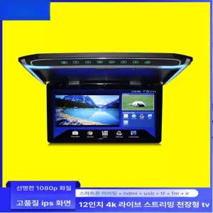차량용 천장모니터 카니발 호환 캠핑카 고화질 팰리세이드 뒷좌석 펠리세이드 접이식 관광버스