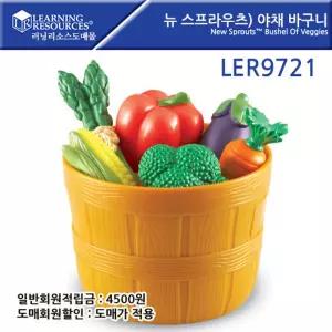 러닝리소스 LER9721 뉴스프라우츠 야채 바구니