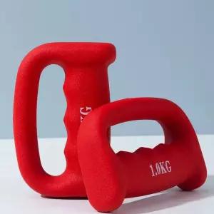 손잡이 아령 웨이트 팔운동 복싱 x 핸들 2kg (1kg 레드 스테인레스 덤벨 2개)