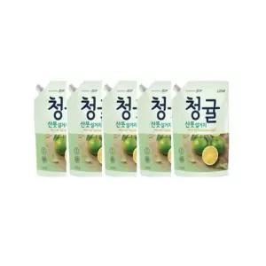 참그린 청귤 1kg 리필 5개입 라이온코리아 주방세제 파우치