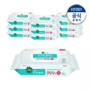 그린핑거 손소독물티슈 캡30매X10팩