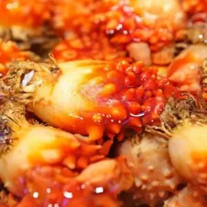 학교 통영 16-20미 멍게 통영멍개 활멍게 활멍개 2kg 산지직송 하니C1