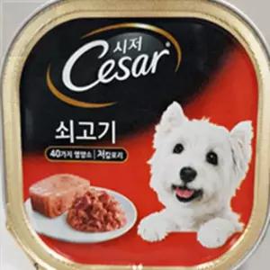 영스픽 시저 쇠고기 100G 24개 고기통조림사료