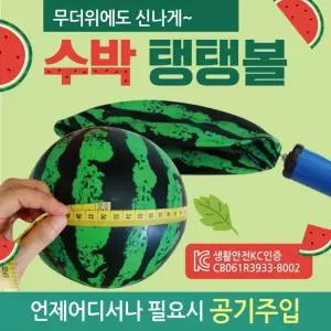 수박 무지 돼지 물놀이용품 비치볼 물놀이공 에어볼 탱탱공 칼라 에어공