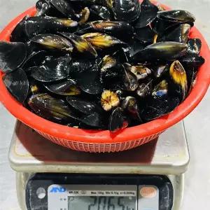 손질 홍합 2kg 다듬이 홍합살 깐홍합 홍합탕 홍합찜 국물 냉동