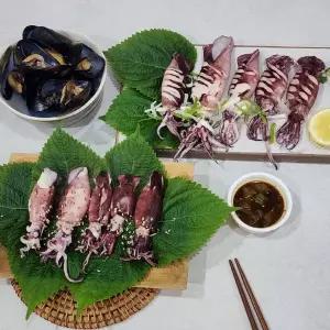 총알한치 500g 한치 오징어 반건조 마른안주 회