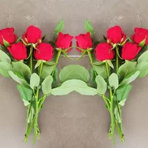 [이벤트] 랜덤 장미 10송이 장미꽃 생화 꽃다발