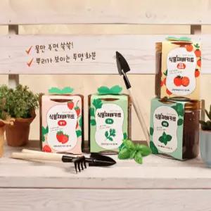 식물재배키트 이지그로우 바질 고수 딸기 방울토마토