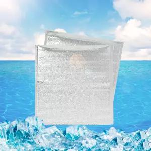 간편 접착식 은박 보냉봉투 50매 아이스팩 보냉비닐 냉장 냉동 포장봉투 20x20cm