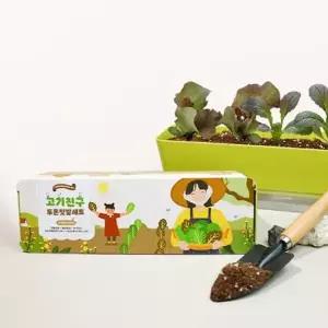 상추키우기 식물재배기 텃밭 씨앗 화분 세트