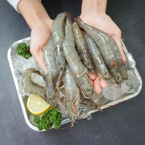 신안 왕 새우 냉동 흰다리새우 500g 1kg