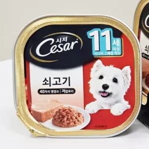 신라마켓 시저 시니어 11세이상 소고기 100G 24개입 강아지통조림