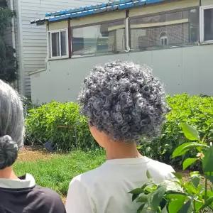 할머니 분장 백발 뽀글머리 가발 촌캉스 소품