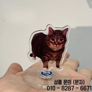 귀여운 오이아이 고양이 패턴 아크릴 360 ° 회전 재미 있은 새끼 자동차 데스크탑 장식 14세 이상 성인 선