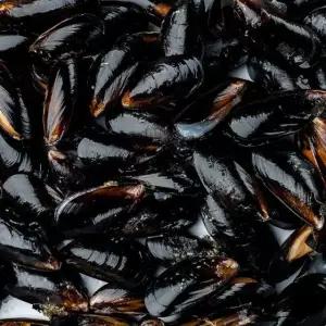 국내산 통영 세척 다듬이 홍합 3kg