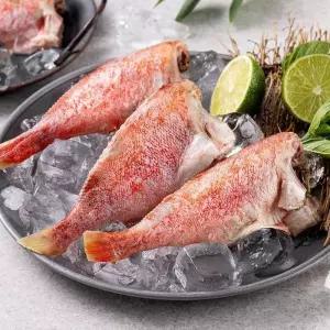 손질 냉동 열기 볼락 1kg(8-12미) x 2팩