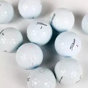 타이틀리스트 PRO V1 / V1X 혼합 로스트볼 중고 골프공 10알 P