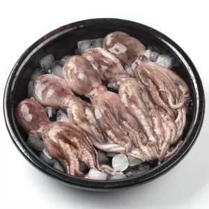 냉동 왕쭈꾸미 주꾸미 손질 4미 총 1kg