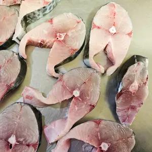 남해안 대삼치 스테이크용 손질생선 1kg 삼치구이 등푸른생선