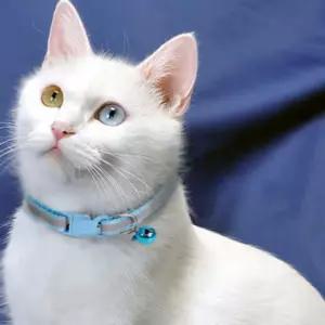 고양이 목걸이 빛반사 안전 방울 야간 인식표 사이즈조절 강아지 펫 네임택 애완동물 반사띠
