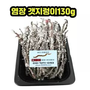 탱글탱글염장갯지렁이미끼130g청개비