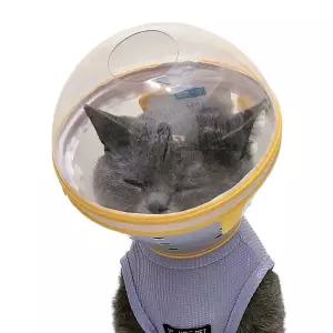 고양이 우주선 헬멧 장난감 캔 동물 투명 UFO 용품 방지