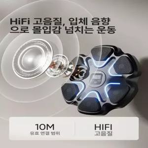 픽로브 리듬복싱기계 운동 기구 체력증진 뮤직 홈트 저소음