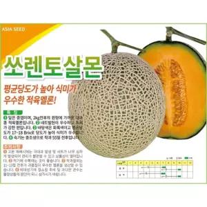 멜론씨앗 쏘렌토살몬 10립 메론종자