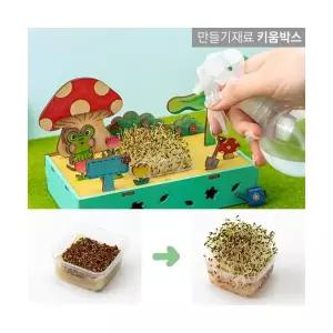 식물키우기세트 새싹키우기 알팔파