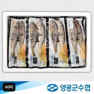 [NS홈쇼핑]영광군수협 햇 대장대굴비 40미[35511279]