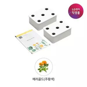 [LG] [LG전자 직영][택배배송] 틔운 씨앗키트 LPM52 메리골드 주황색 (전제품 호환)