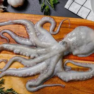 백년본가 살아있는 남해 자연산 돌문어 1kg(2-4미)