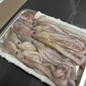 낙지 급냉 1kg 냉동 낙지볶음 연포탕 낙지탕탕이 손질낙지 해물