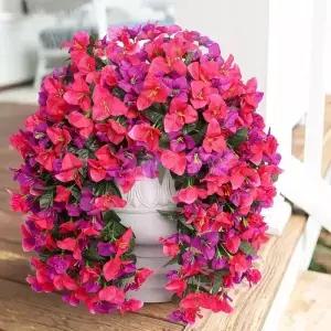인공 꽃 덩굴 부겐빌레아 웨딩 화환 홈룸 발렌타인 데이 장식 야외 마당 정원 벽걸이 아치 DIY 선물