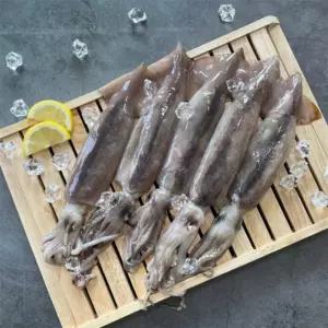 ALOHA-STORE 손질 통오징어 파지 500G 손질통오징어