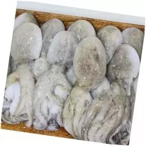 손질쭈꾸미 냉동쭈꾸미 부드럽고 식감 급냉, 3kg