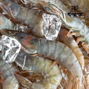 국산 자연산 대하(암새우) /1kg 14~17미/국산