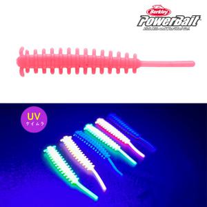 버클리 타치 샌드사딘 2.5인치 UV 케이무라 갈치웜 풀치 웜 갈치
