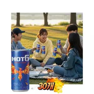 핫식스 오리지널 에너지음료 250ml 30개