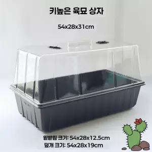 모종 트레이 덮개 뚜껑 가정용 성장 커버 육묘판 종자 55g 뚜껑 받침대+240g 화분